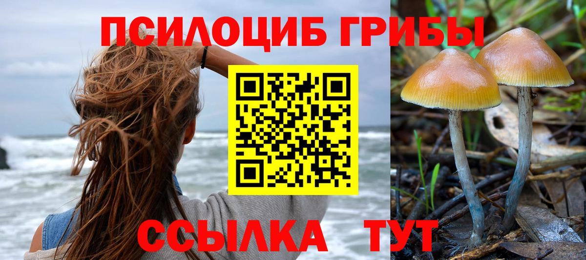 Дедовск  Псилоцибиновые грибы Psilocybine cubensis  Вход с VPN 