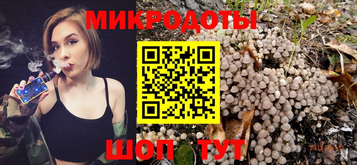 Псилоцибиновые грибы мицелий Дедовск